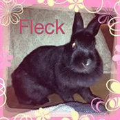 Ellen Amis-Stilwell's photo