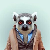 Gerd Schuster's photo