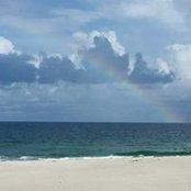 Debbie Layton's photo