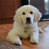 Bridget Dahlen's photo