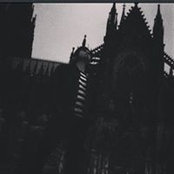 Tyler Hertzske's photo