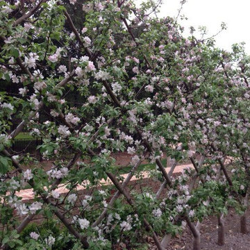 Miscellaneous pictures from our projects