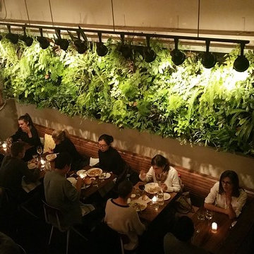 DUMBO - Greenwall / Vertical Garden