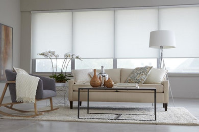 Living room - modern living room idea in Ottawa