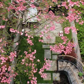 NORTH PARK SLOPE