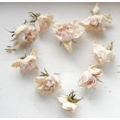 Kate Hazeldine's photo