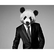 Christopher Johansson's photo