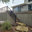 Maitrejean Carpentry & Roofing