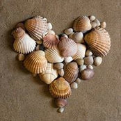 D'Ann Dyess's photo