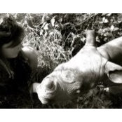 Kate Spencer's photo