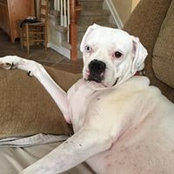 Sharon Sheppard's photo