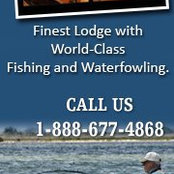 Bay Lodge's photo