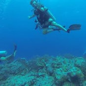 Felipe Castellanos's photo