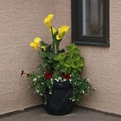 Eleanore Hart's photo
