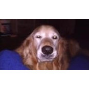 Denise Draeger's photo