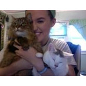 Sophia Schmidt's photo