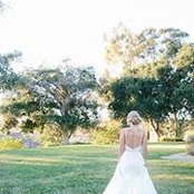 Shannon Shapiro's photo