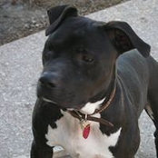 R Denice Brown-Sweeney's photo