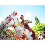 Ravi Madlani's photo