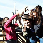 Sam Henderson's photo