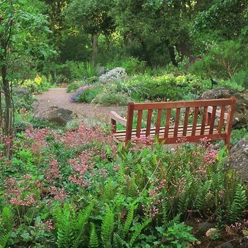 Sanctuary Gardens