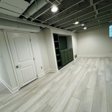 Basement Remodel