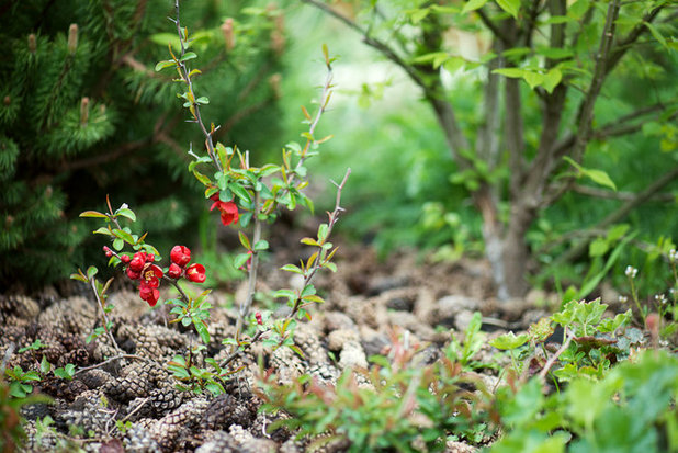 Современный  by Татьяна Звёздочкина/Студия VENUS DESIGN