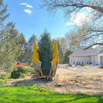 Tree Moving