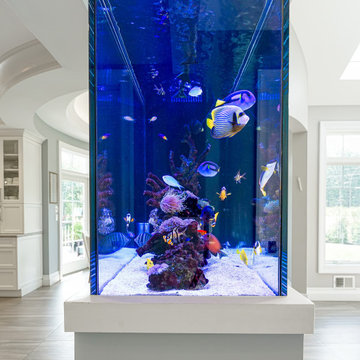 Peninsula Reef Aquarium Room Divider