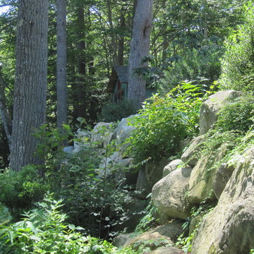 Boulder and integrated planting near Great East Lake