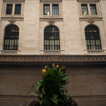 New York Public Library