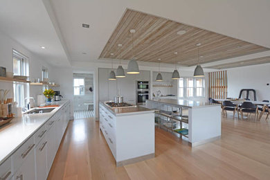 Example of a minimalist kitchen design in Boston
