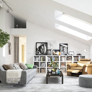 Livingroom project - Scandinavian Style