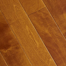 Downstairs Floors