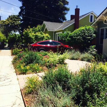 Burlingame - Low water-use Traditional California