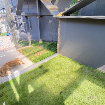The Purr-fect Playground✨