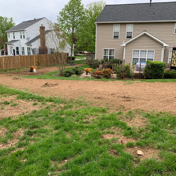Lawn renovation