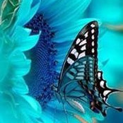 Susan Nagy's photo