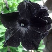Zeynep Kulunk's photo