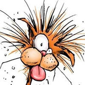 Pat Rebeck's photo