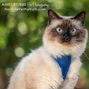 Cathy Brockway's photo