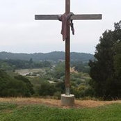 Nancy Arsenault's photo