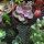 webuser_49760