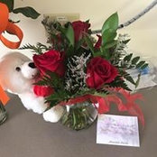 Darci Menard's photo