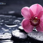 Pat Madys foto