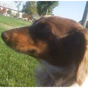 Darrell Hoppe's photo