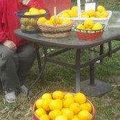 Vickie Duffourc's photo