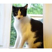 Nick White's photo