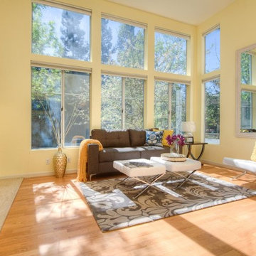 Brighter Living Room