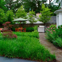 Low Maintenance yards